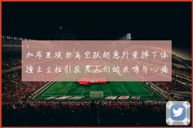 加布里埃尔高空跃起意外重摔下体撞击立柱引发男人们的共鸣与心痛