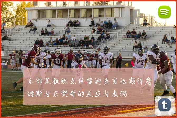 东部某教练点评雷迪克言论期待詹姆斯与东契奇的反应与表现